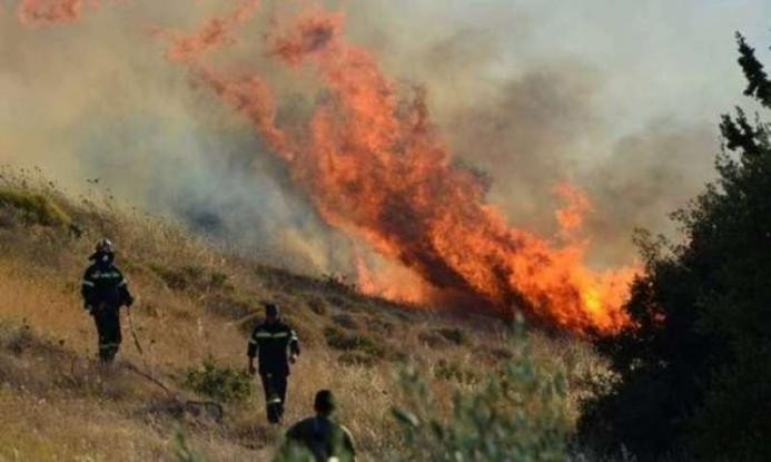 Πυρκαγιά στην Αμαλιάδα κοντά σε κατοικημένη περιοχή